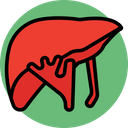 پیش‌نمایش فایل human-liver-7270519 از پک پزشکی و سلامت