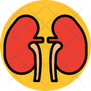 پیش‌نمایش فایل lungs-7270583 از پک پزشکی و سلامت