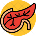پیش‌نمایش فایل pancreas-7270591 از پک پزشکی و سلامت