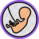 پیش‌نمایش فایل pregnant-belly-7270532 از پک پزشکی و سلامت