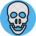پیش‌نمایش فایل skull-7270520 از پک پزشکی و سلامت