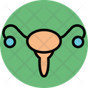 پیش‌نمایش فایل woman-bladder-7270624 از پک پزشکی و سلامت