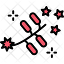 پیش‌نمایش فایل firework-7414739 از پک جشن و جشنواره