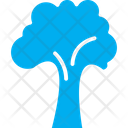 پیش‌نمایش فایل broccoli-7530295 از پک سبزیجات و میوه‌ها
