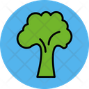 پیش‌نمایش فایل broccoli-7523564 از پک سبزیجات و میوه‌ها