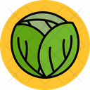 پیش‌نمایش فایل cabbage-7523612 از پک سبزیجات و میوه‌ها