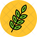 پیش‌نمایش فایل grain-7523605 از پک سبزیجات و میوه‌ها
