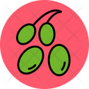 پیش‌نمایش فایل olives-7523583 از پک سبزیجات و میوه‌ها