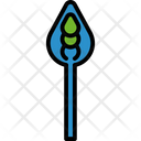 پیش‌نمایش فایل asparagus-7523376 از پک سبزیجات و میوه‌ها