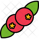 پیش‌نمایش فایل berries-7523326 از پک سبزیجات و میوه‌ها