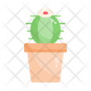 پیش‌نمایش فایل cactus-pot-2701960 از پک سرگرمی ها و اوقات فراغت