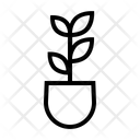 پیش‌نمایش فایل plant-2702005 از پک سرگرمی ها و اوقات فراغت
