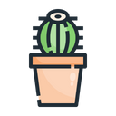 پیش‌نمایش فایل cactus-pot-2701930 از پک سرگرمی ها و اوقات فراغت