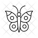 پیش‌نمایش فایل butterfly-4319570 از پک عید پاک