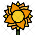 پیش‌نمایش فایل flora-floral-flower-nature-spring-sunflower از پک پاییز