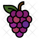 پیش‌نمایش فایل grapes-1917538 از پک پاییز