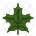 پیش‌نمایش فایل maple-leaf-1917592 از پک پاییز