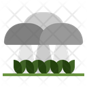 پیش‌نمایش فایل mushroom-1917570 از پک پاییز
