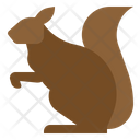 پیش‌نمایش فایل squirrel-1917595 از پک پاییز