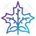 پیش‌نمایش فایل maple-leaf-1917627 از پک پاییز