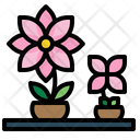 پیش‌نمایش فایل flower-pot-1936200 از پک دکوراسیون خانه