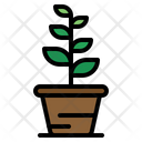 پیش‌نمایش فایل plant-1936166 از پک دکوراسیون خانه