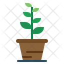 پیش‌نمایش فایل plant-1936165 از پک دکوراسیون خانه