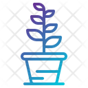 پیش‌نمایش فایل plant-1936129 از پک دکوراسیون خانه