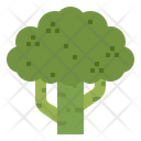 پیش‌نمایش فایل broccoli-1935610 از پک مزرعه و باغ