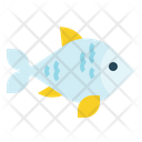 پیش‌نمایش فایل fish-1935613 از پک مزرعه و باغ