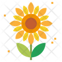 پیش‌نمایش فایل sunflower-1935611 از پک مزرعه و باغ