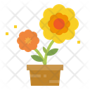 پیش‌نمایش فایل sunflower-1935612 از پک مزرعه و باغ