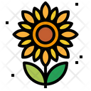پیش‌نمایش فایل sunflower-1935578 از پک مزرعه و باغ