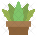 پیش‌نمایش فایل aloevera-1948827 از پک اسپا
