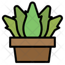 پیش‌نمایش فایل aloevera-1948792 از پک اسپا