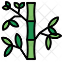 پیش‌نمایش فایل bamboo-1948772 از پک اسپا