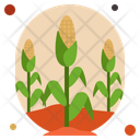 پیش‌نمایش فایل corn-10192353 از پک روز شکرگزاری