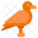 پیش‌نمایش فایل seagull-10751382 از پک دریا