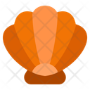 پیش‌نمایش فایل seashell-10751384 از پک دریا