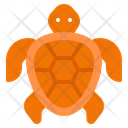 پیش‌نمایش فایل turtle-10751389 از پک دریا