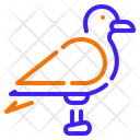 پیش‌نمایش فایل seagull-10751466 از پک دریا