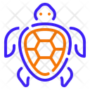 پیش‌نمایش فایل turtle-10751473 از پک دریا