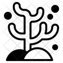 پیش‌نمایش فایل coral-10751503 از پک دریا