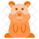 پیش‌نمایش فایل hamster-10717093 از پک حیوانات خانگی