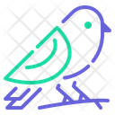 پیش‌نمایش فایل bird-10717270 از پک حیوانات خانگی