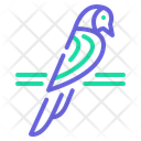 پیش‌نمایش فایل budgie-10717271 از پک حیوانات خانگی