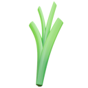 پیش‌نمایش فایل spring-onion-5168426 از پک خرید و تحویل