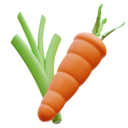 پیش‌نمایش فایل spring-onion-and-carrot-5168437 از پک خرید و تحویل