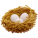 پیش‌نمایش فایل bird-nest-eggs-5294227 از پک بهار و تابستان