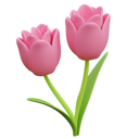 پیش‌نمایش فایل tulip-flower-5463340 از پک روز عید پاک